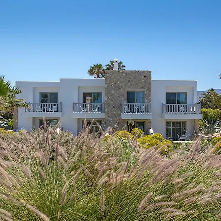 White Pearls-adults Only Luxury * Kos-stad
